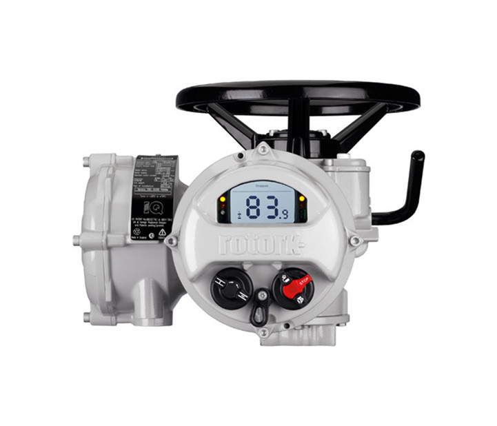 羅托克電動(dòng)執(zhí)行器角行程型號(hào)可以調(diào)整速度嗎？如何操作？